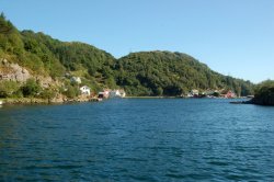 Blick über den hinteren Bereich des Fjords.